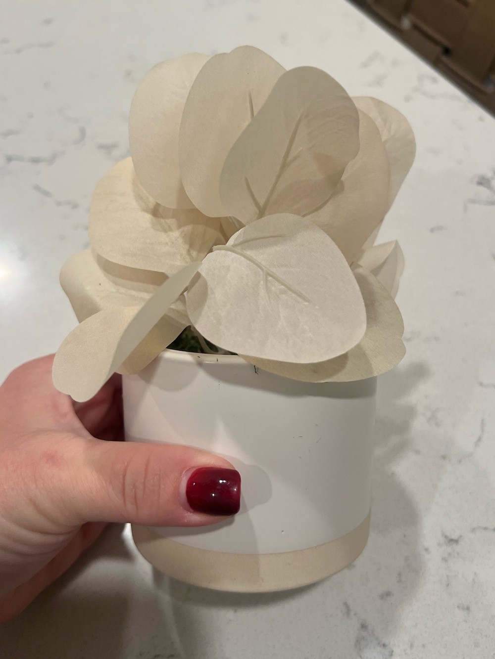 Small Neutral Cream Faux Eucalyptus Potted Plant